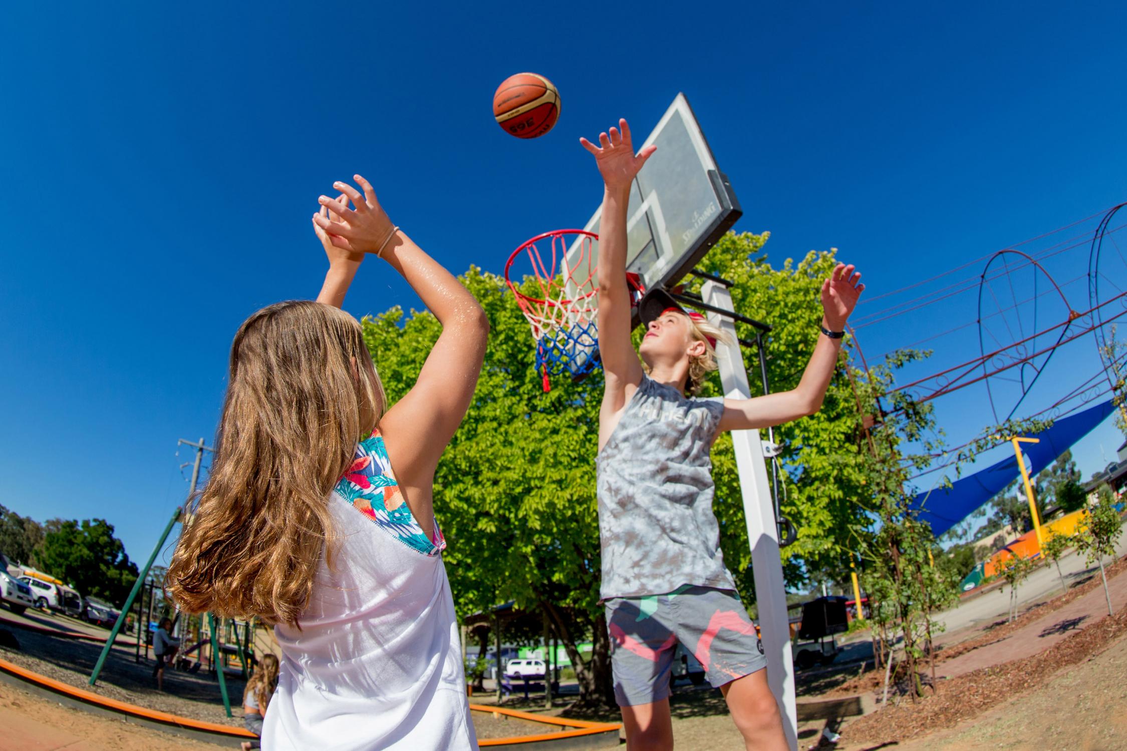 BIG4 Bendigo Park Lane Holiday Park | BIG4 Bendigo Park Lane Holiday Parks