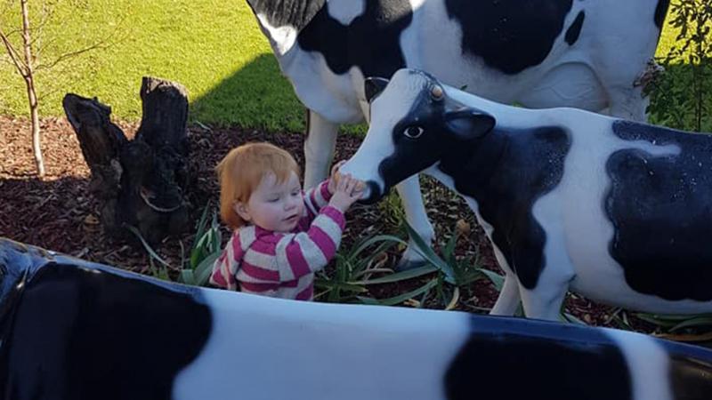 BIG4 Shepparton Park Lane Holiday Park - Toddler with Cows