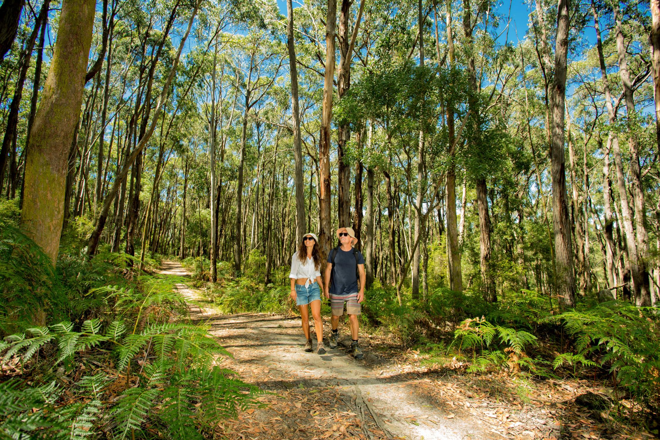 BIG4 Yarra Valley Park Lane Holiday Park | BIG4 Yarra Valley Park Lane